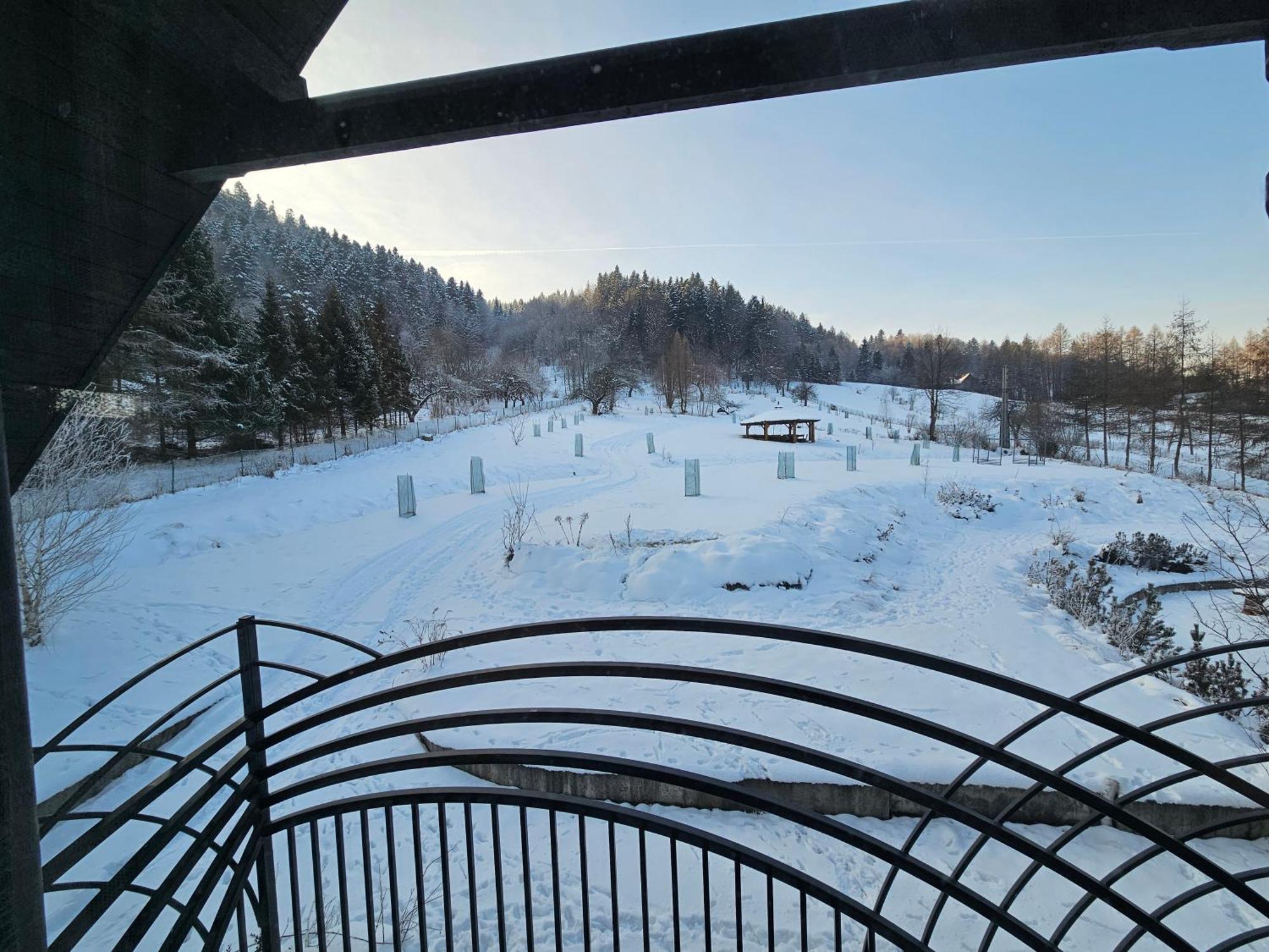 Bed and Breakfast Otulina Park Szczawnica Exterior foto