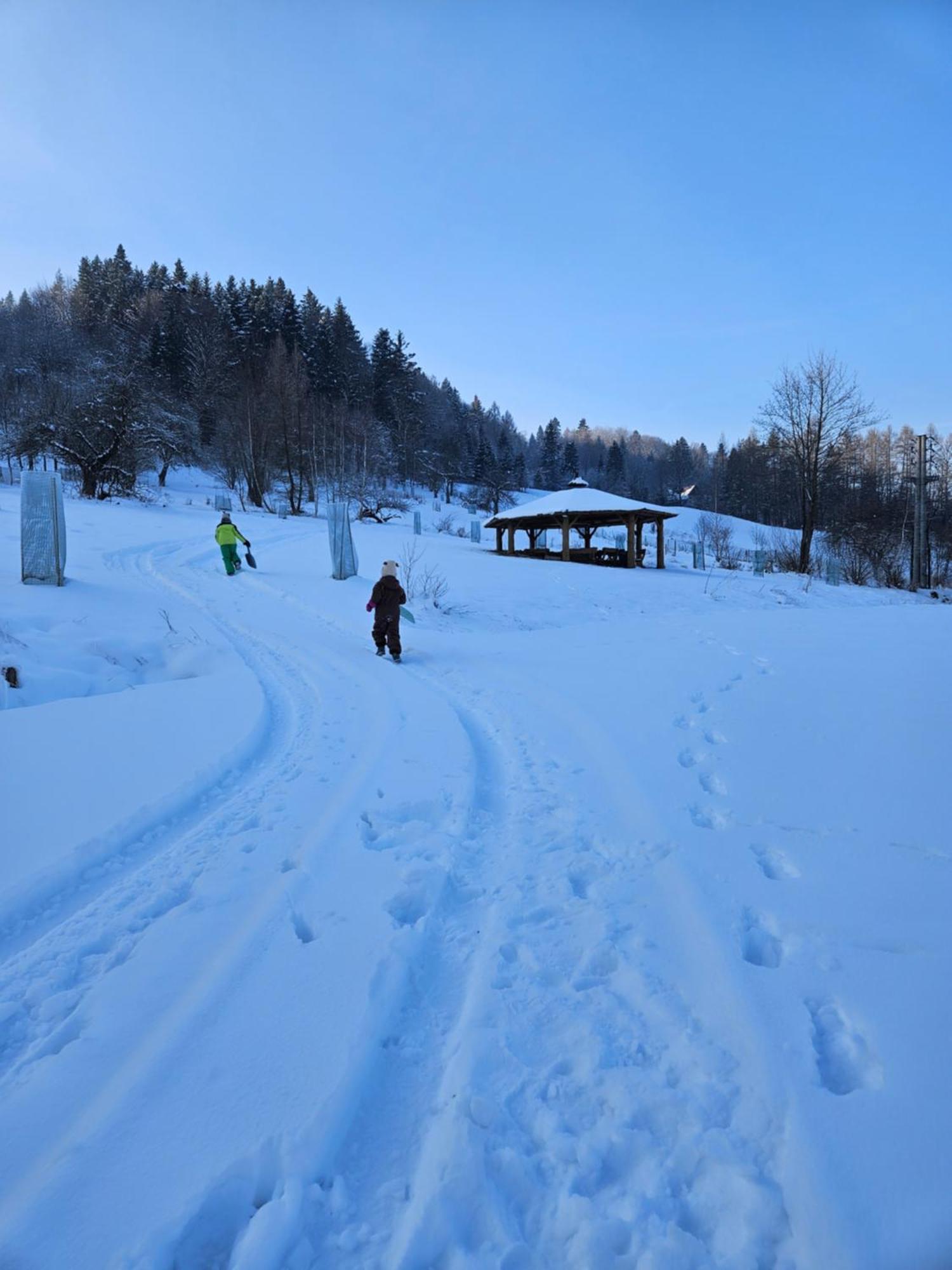 Bed and Breakfast Otulina Park Szczawnica Exterior foto
